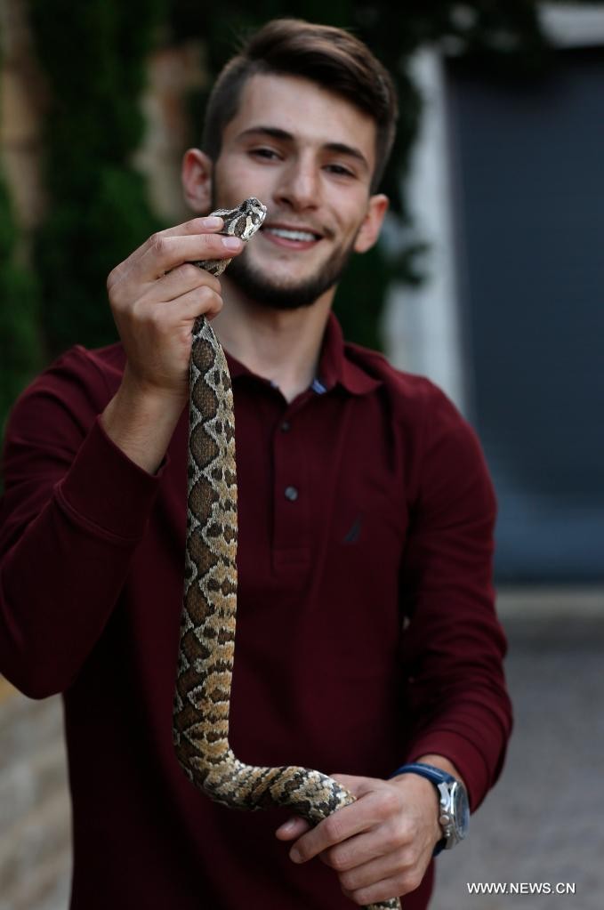 شاب فلسطيني يربي أثقل وأخطر الثعابين داخل منزله في مشهد خارج عن المألوف 4