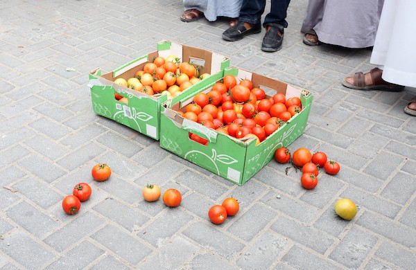  مزارعون يرفضون شروطا إسرائيلية لتصدير السلع الزراعية