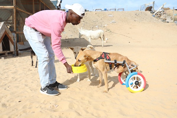 مركز جمعية سلالة بمدينة غزة لرعاية الحيوانات الضالة والمريضة 1