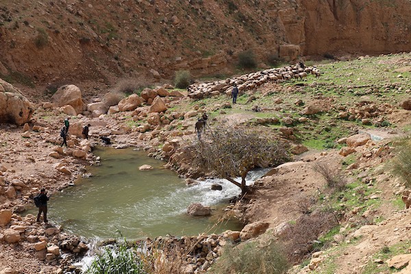 مبادرة فلسطينية سياحية هادفة ما بين رام الله وأريحا