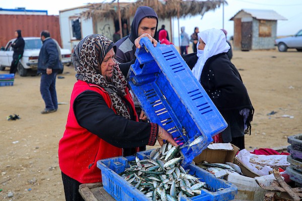 المسنة الفلسطينية أم جميل الأقرع من دير البلح وسط قطاع غزة تشتري الأسماك من الحسبة لتبيعها في السوق، لتعيل أسرتهامع احتفال العالم بيوم المرأة العالمي.