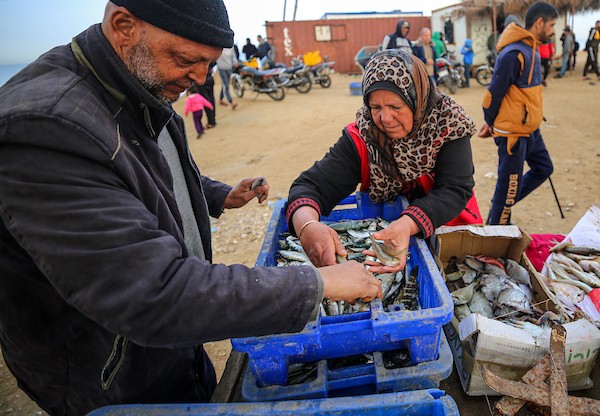 المسنة الفلسطينية أم جميل الأقرع من دير البلح وسط قطاع غزة تشتري الأسماك من الحسبة لتبيعها في السوق، لتعيل أسرتهامع احتفال العالم بيوم المرأة العالمي.