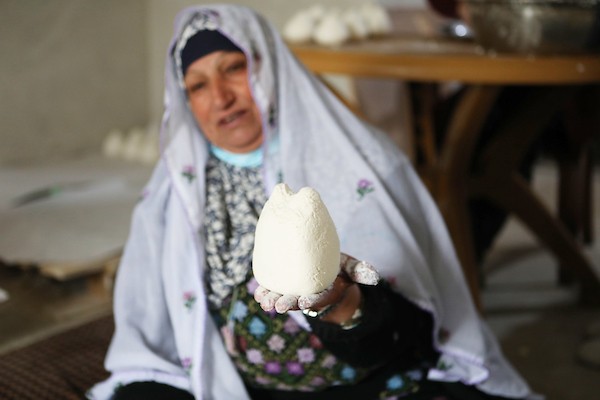 عائلة فلسطينية تصنع الجميد في مسافر يطا ، جنوب الخليل 14.jpg