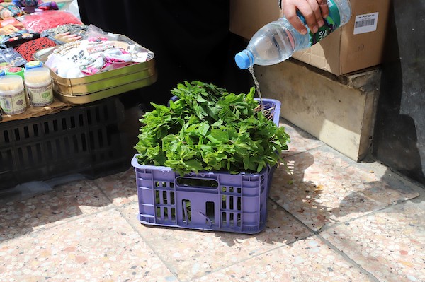 تبيع المرأة الفلسطينية  زين هتهت (32 عاما) النعناع في الشارع لتحسين الظروف الاقتصادية لأسرتها المكونة من سبعة أفراد