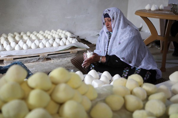 عائلة فلسطينية تصنع الجميد في مسافر يطا ، جنوب الخليل 10.jpg