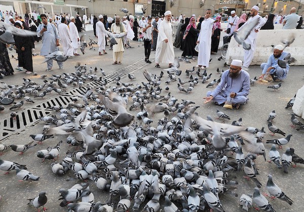 حجاج يتجولون في ساحات الحرم المكي مع بداية موسم الحج في مكة المكرمة 2.jpg