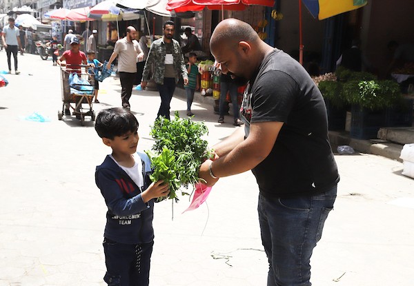 الطفل الكحلوت ينادي البقدونس والروكا لبيعها بمدينة غزة 7.jpg