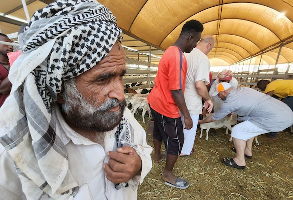 سوق الأضاحي في مدينة مكة خلال موسم الحج 45.jpg