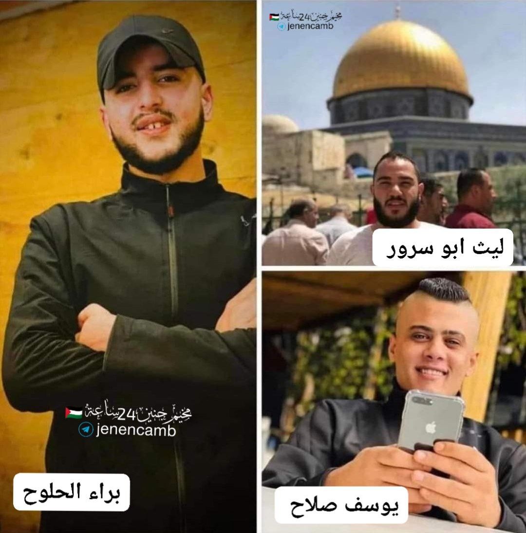 شهداء جنين.jpg