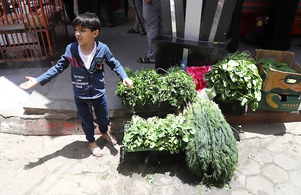 الطفل الكحلوت ينادي البقدونس والروكا لبيعها بمدينة غزة 1.jpg