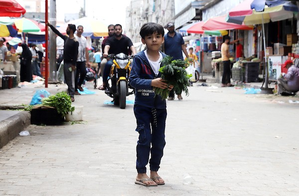 الطفل الكحلوت ينادي البقدونس والروكا لبيعها بمدينة غزة 15.jpg