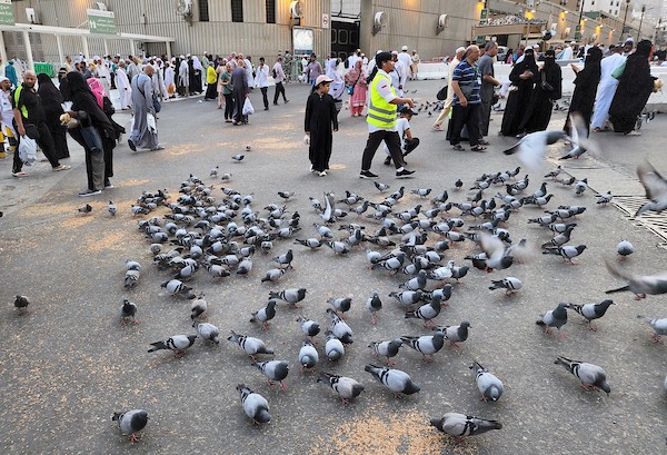 حجاج يتجولون في ساحات الحرم المكي مع بداية موسم الحج في مكة المكرمة 13.jpg