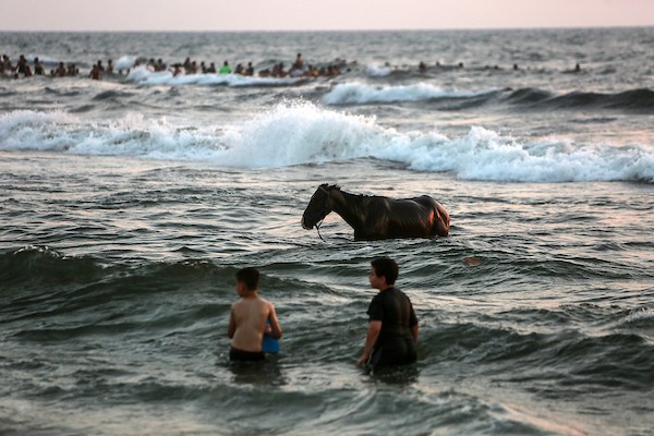 المواطنون الفلسطينيون يصطافون على شاطئ بحر مدينة غزة خلال يوم العطلة 10.jpg