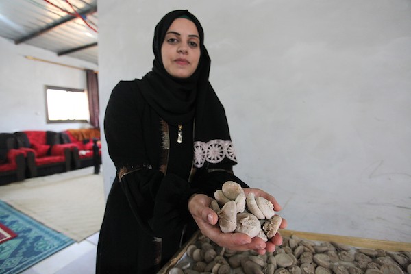 الفلسطينية أبو سعادة تُعيد إحياء صناعة أكلة الكِشك التراثية في خان يونس 17(1).jpg