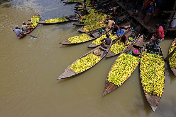 سوق عائم عمره 100 عام لبيع الجوافة على نهر باريسال في بنغلاديش 2.jpg