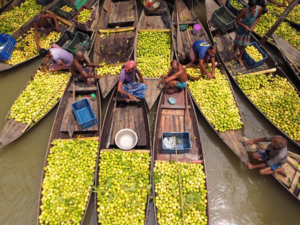 سوق عائم عمره 100 عام لبيع الجوافة على نهر باريسال في بنغلاديش 6.jpg