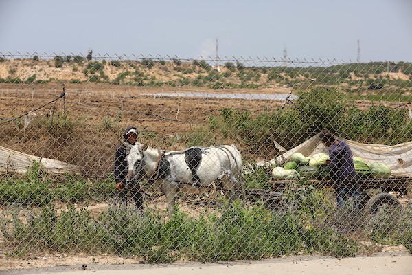 استمرار إغلاق جيش الاحتلال الإسرائيلي معبر بيت حانون-إيرز لليوم الثالث على التوالي شمال قطاع غزة 4.jpg
