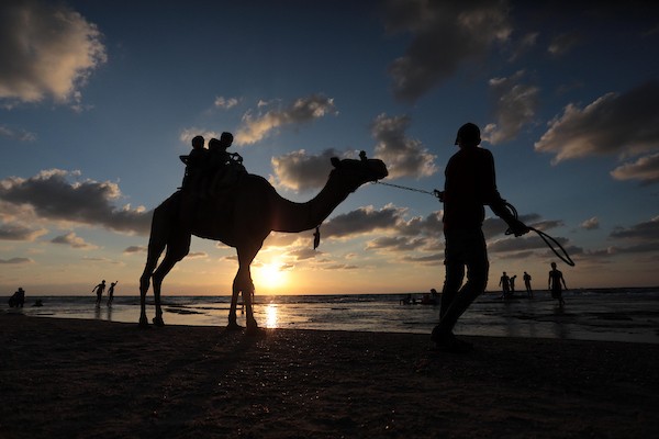 فلسطينيون يستمتعون بأوقاتهم على شاطئ بحر دير البلح في الجمعة الأولى بعد إعلان وقف إطلاق النار 7.jpg