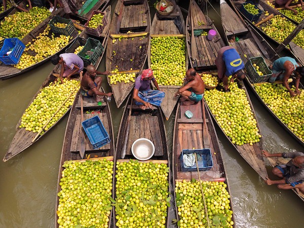 سوق عائم عمره 100 عام لبيع الجوافة على نهر باريسال في بنغلاديش 3.jpg