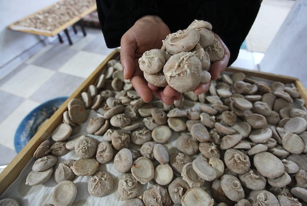 الفلسطينية أبو سعادة تُعيد إحياء صناعة أكلة الكِشك التراثية في خان يونس 16(1).jpg