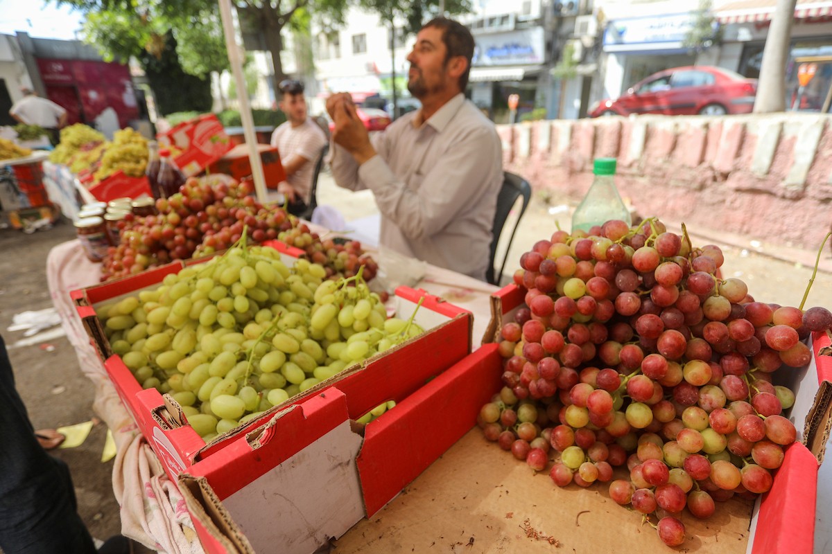 بائعون فلسطينيون يبيعون العنب في سوق للعنب في مدينة رام الله بالضفة الغربية 34.jpg