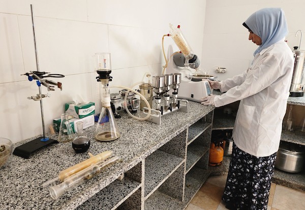 فلسطينيات ينجحن في زراعة نبات الستيفيا واستخلاص السكر المُحلى 24.jpg