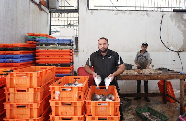 فلسطينيون يعملون في مصنع لتجميد الأسماك في مدينة غزة 22.jpg