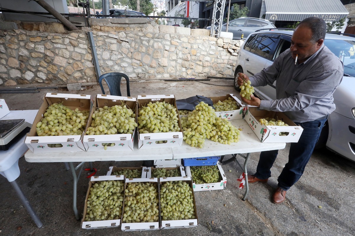 بائعون فلسطينيون يبيعون العنب في سوق للعنب في مدينة رام الله بالضفة الغربية 18.jpg