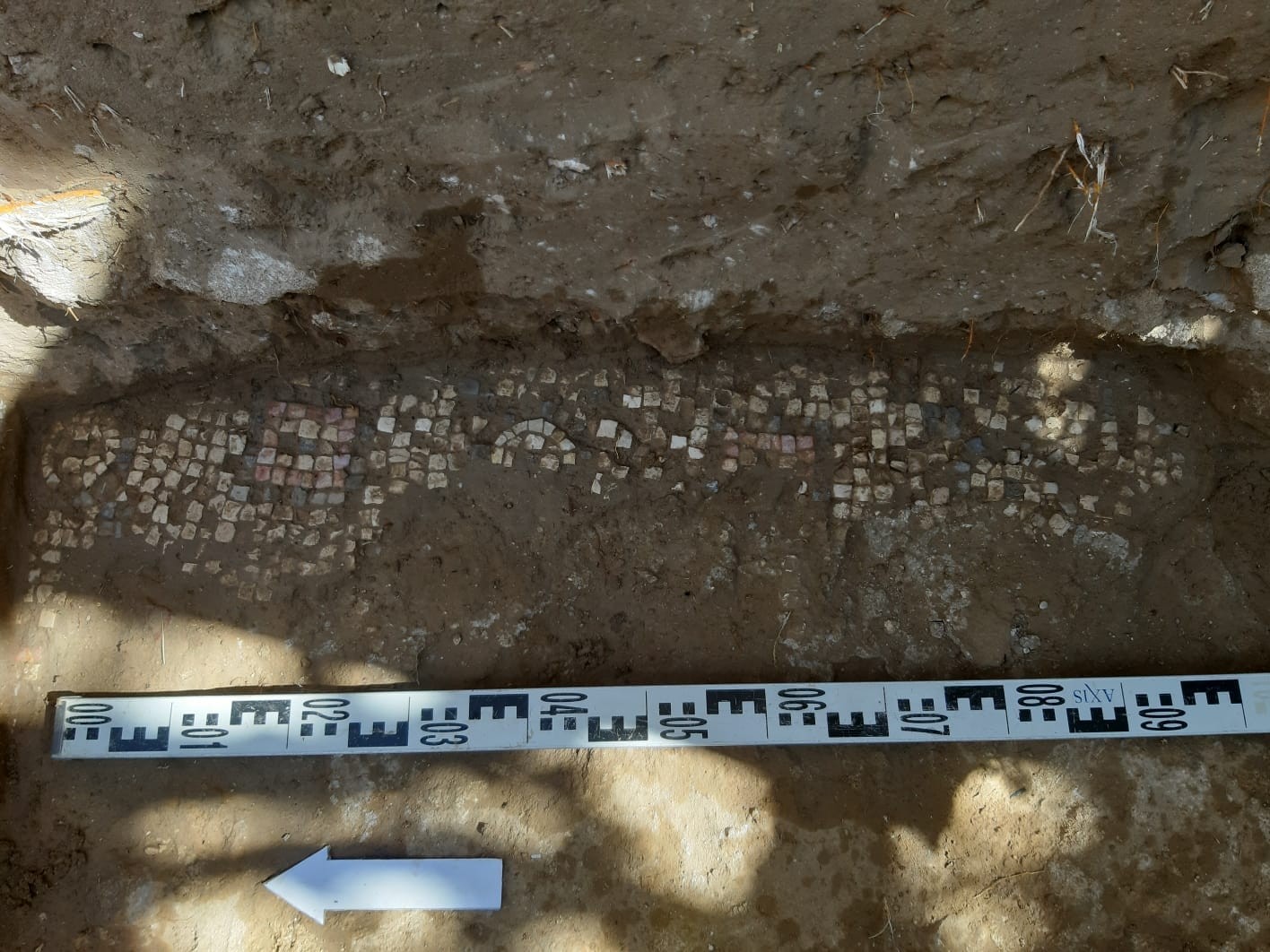 مزارع فلسطيني من البريج في غزة يكتشف وجود لوحة فسيفسائية مزخرفة تعود للعهد البيزنطي 66.jpg