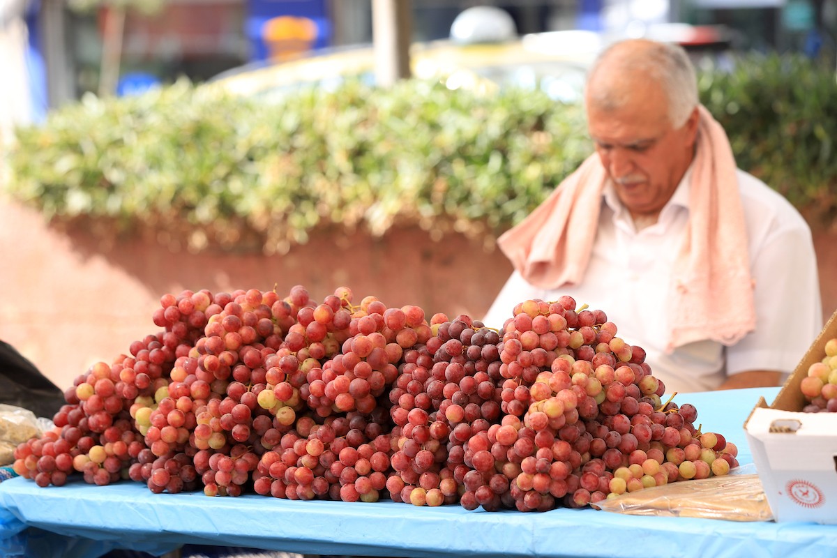 بائعون فلسطينيون يبيعون العنب في سوق للعنب في مدينة رام الله بالضفة الغربية 57.jpg