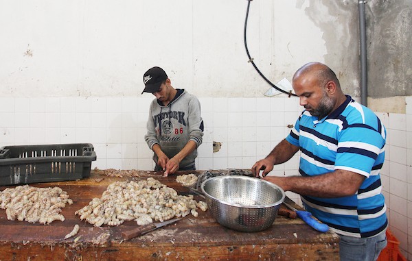 فلسطينيون يعملون في مصنع لتجميد الأسماك في مدينة غزة 28.jpg