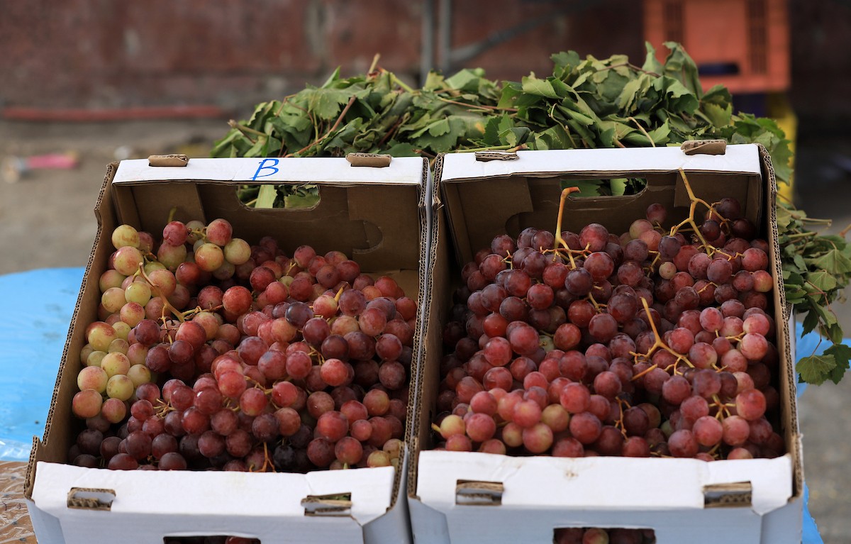 بائعون فلسطينيون يبيعون العنب في سوق للعنب في مدينة رام الله بالضفة الغربية 44.jpg