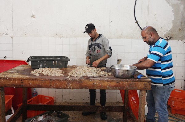 فلسطينيون يعملون في مصنع لتجميد الأسماك في مدينة غزة 23.jpg