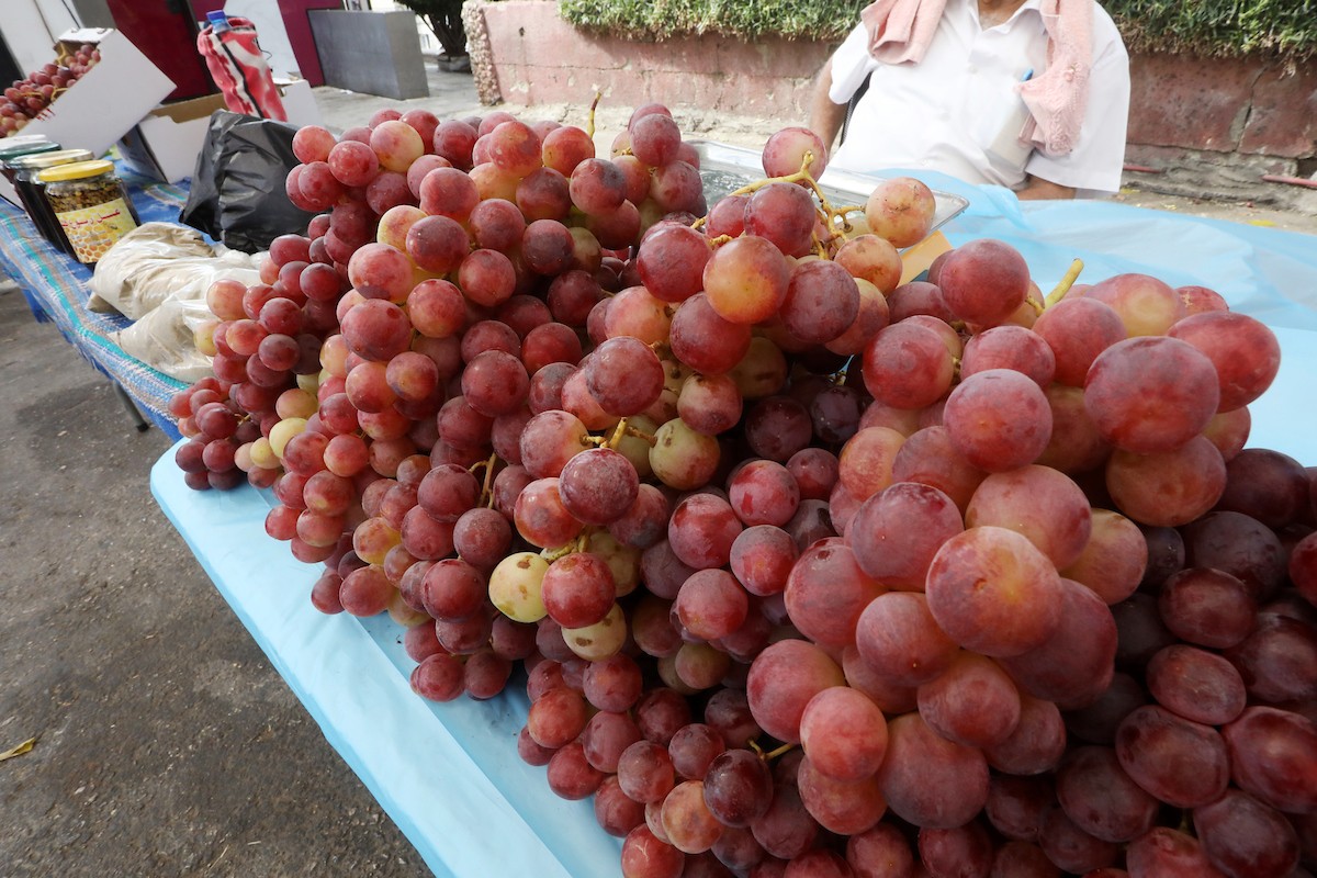 بائعون فلسطينيون يبيعون العنب في سوق للعنب في مدينة رام الله بالضفة الغربية 24.jpg
