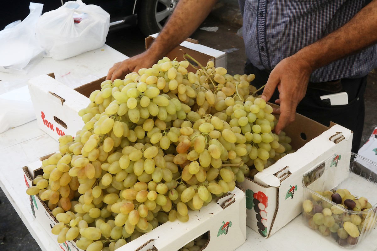 بائعون فلسطينيون يبيعون العنب في سوق للعنب في مدينة رام الله بالضفة الغربية 30.jpg