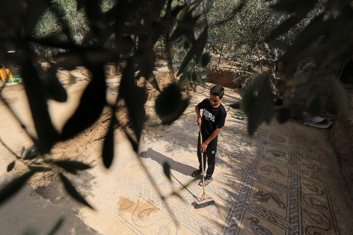 فلسطينيون ينظفون حول أرضية فسيسفاء من العهد البيزنطي اكتشفها مزارع فلسطيني في أرضه في مدينة البريج وسط قطاع غزة 654.jpg