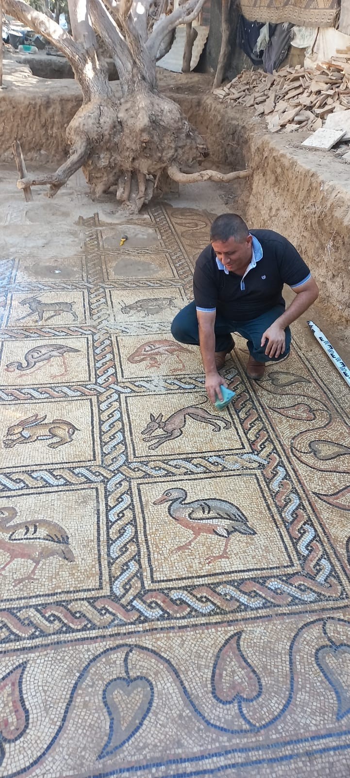 مزارع فلسطيني من البريج في غزة يكتشف وجود لوحة فسيفسائية مزخرفة تعود للعهد البيزنطي 19.jpg