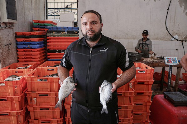 فلسطينيون يعملون في مصنع لتجميد الأسماك في مدينة غزة 7.jpg