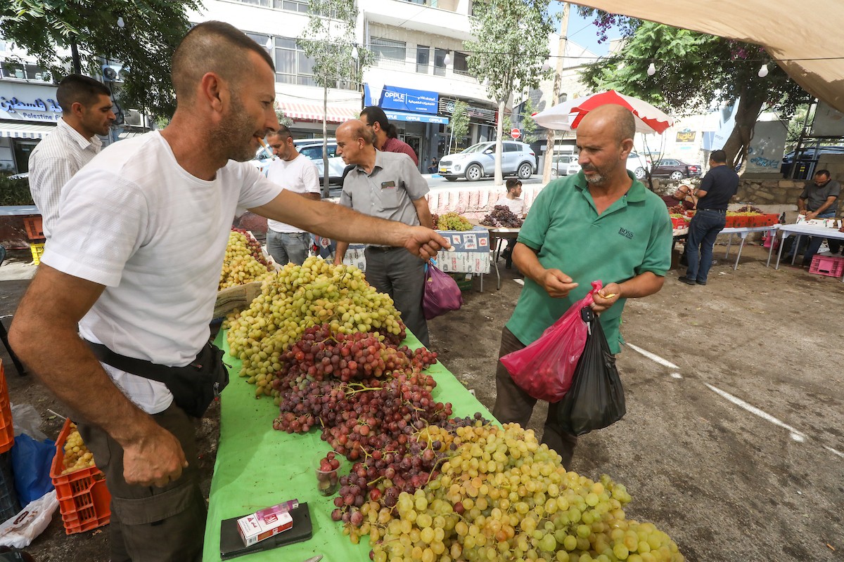 بائعون فلسطينيون يبيعون العنب في سوق للعنب في مدينة رام الله بالضفة الغربية 8.jpg