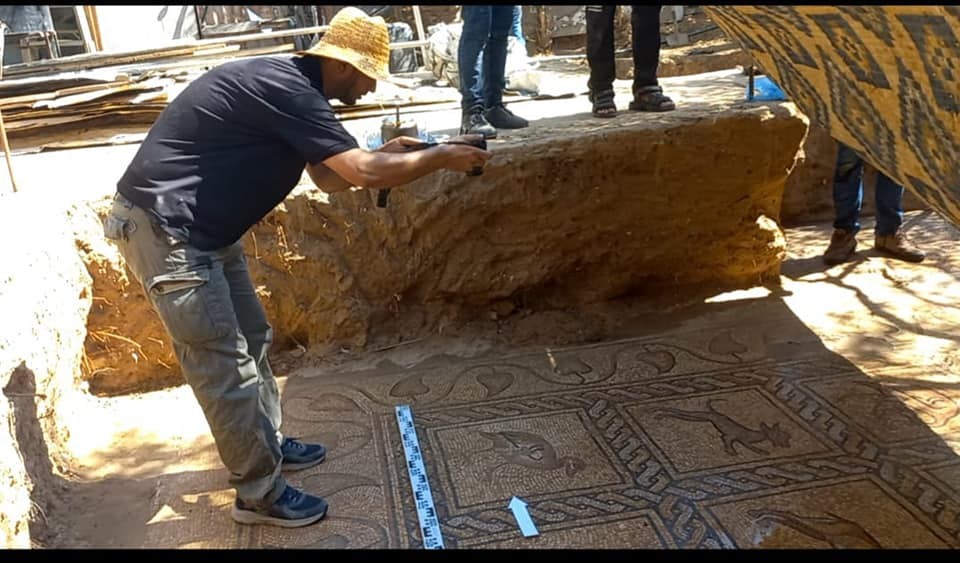 مزارع فلسطيني من البريج في غزة يكتشف وجود لوحة فسيفسائية مزخرفة تعود للعهد البيزنطي 10.jpg
