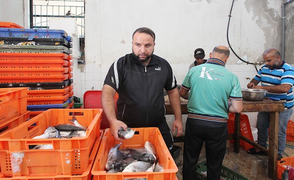 فلسطينيون يعملون في مصنع لتجميد الأسماك في مدينة غزة 24.jpg