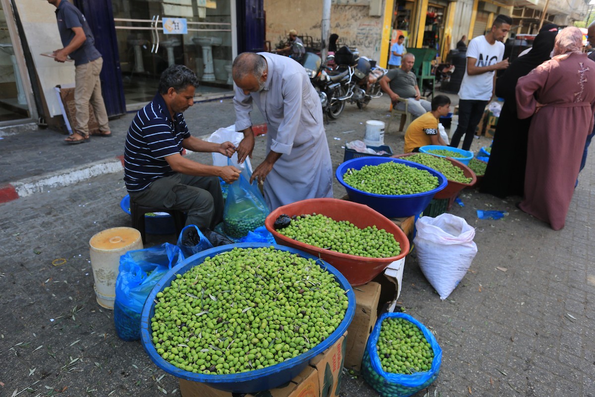 أقدم سوق زيتون في خان يونس 4(3).jpg