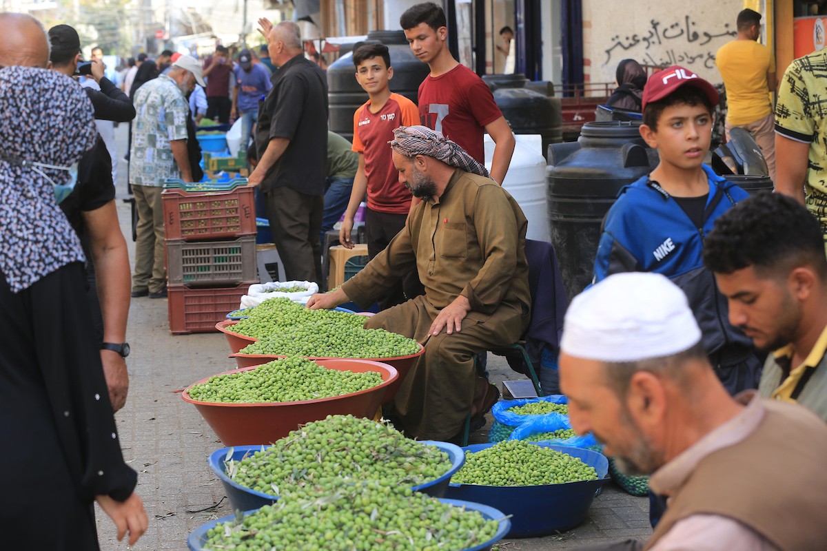 أقدم سوق زيتون في خان يونس 11(1).jpg