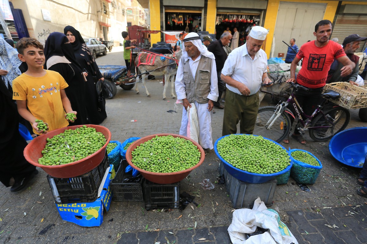 أقدم سوق زيتون في خان يونس 1.jpg