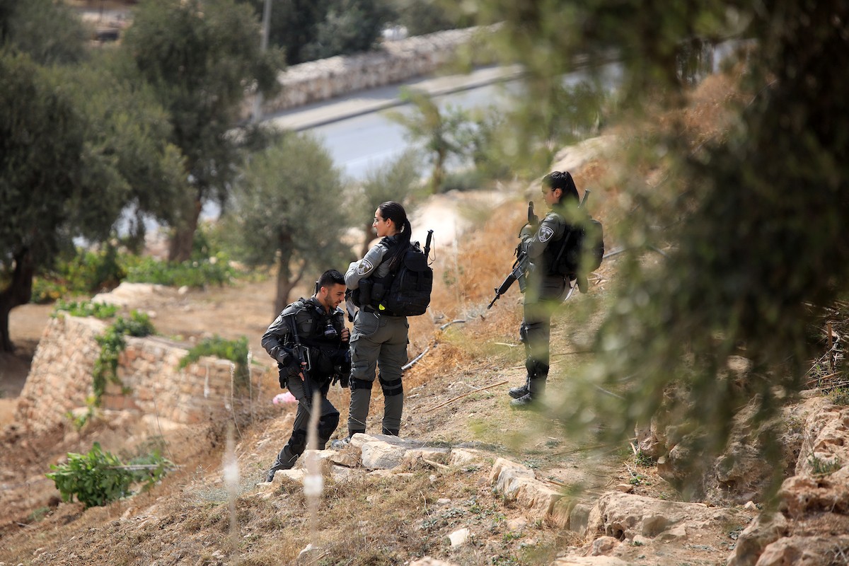 شرطة الاحتلال الإسرائيلي تمنع المواطنين الفلسطينيين من قطف الزيتون في سلوان بمدينة القدس 23.jpg
