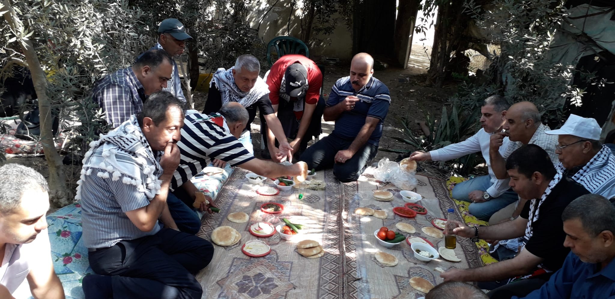 التجمع الفلسطيني للوطن و الشتات يساعد المزارعين بقطف الزيتون شمال غزة  88.jpg