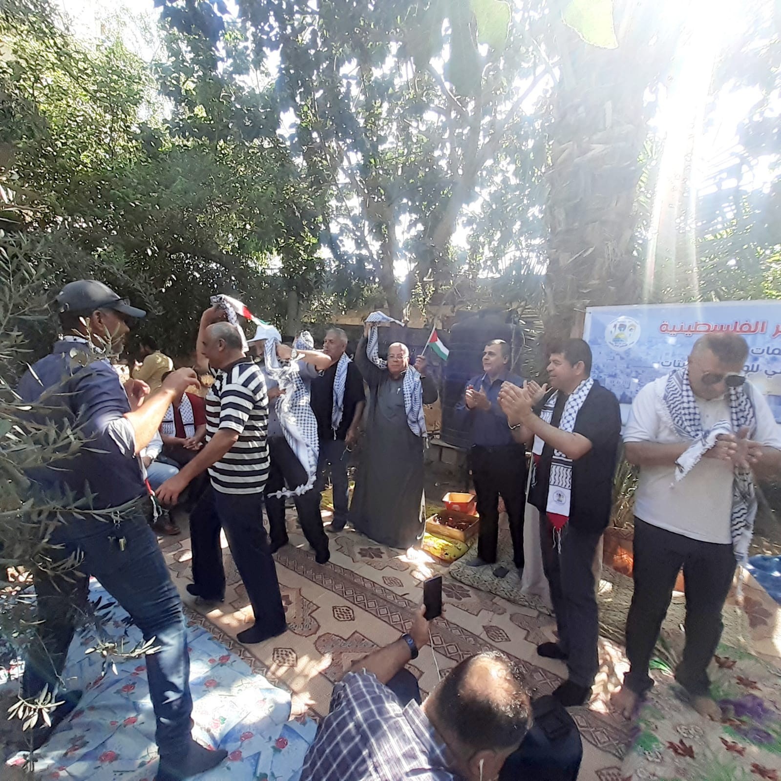 التجمع الفلسطيني للوطن و الشتات يساعد المزارعين بقطف الزيتون شمال غزة  5.jpg