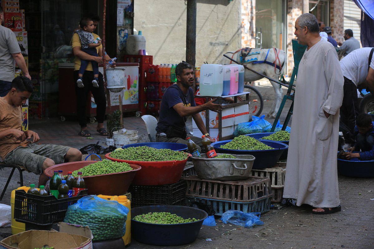 أقدم سوق زيتون في خان يونس 6.jpg