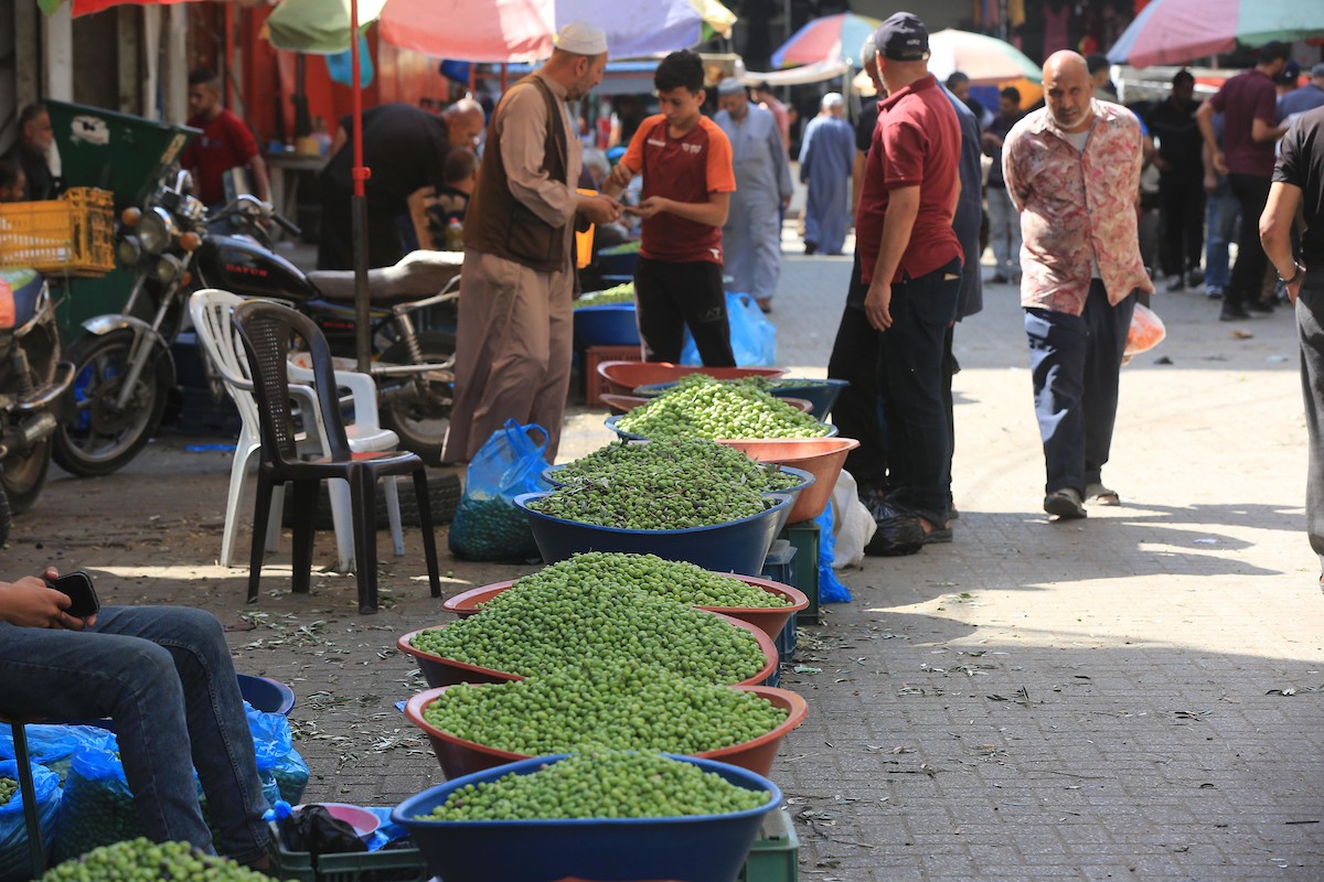 أقدم سوق زيتون في خان يونس 16.jpg