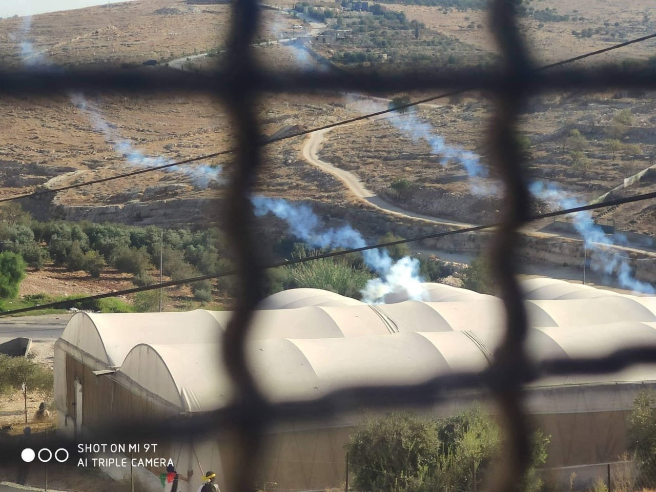 إصابة عدد من طلبة المدارس الفلسطينية جراء إطلاق قوات الاحتلال قنابل الغاز في محيط المدارس على المدخل الشمالي لبلدة تقوع ث.jpg